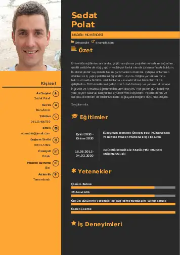 Maden Mühendisi Cv Örnekleri cv indir